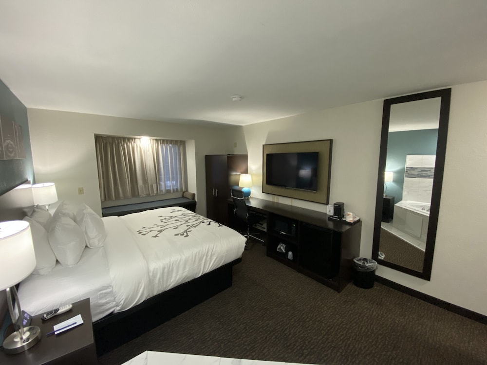 Suite, 1 King Bed, Non Smoking - Photo 2