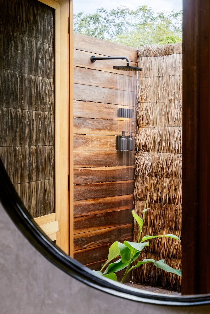 Room (Jungle) - Photo 6