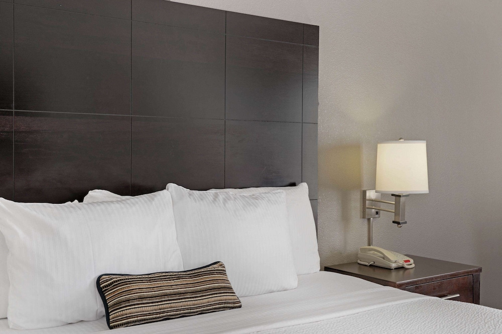 Room, 1 King Bed, Accessible (Roll-In Shower) - Photo 7