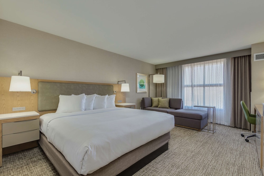 Deluxe Suite, 1 King Bed, Accessible (Roll-In Shower)