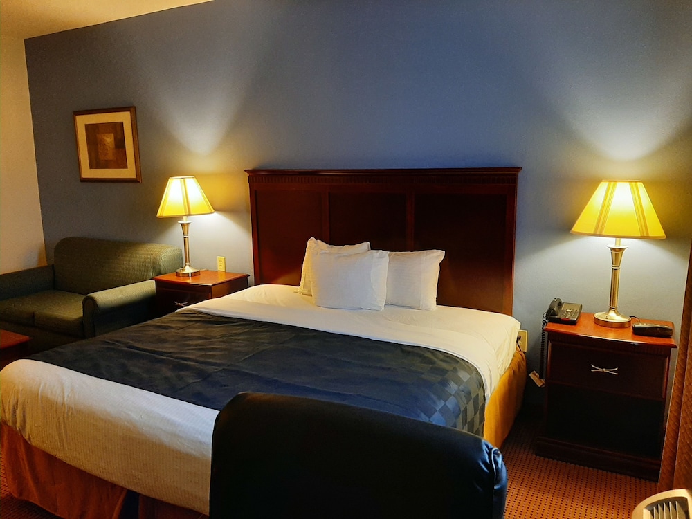 Comfort Single Room photo 3