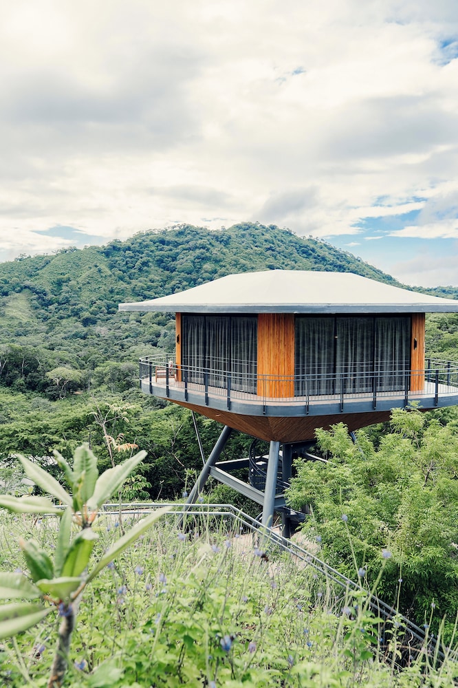 Treetop Suite photo 2