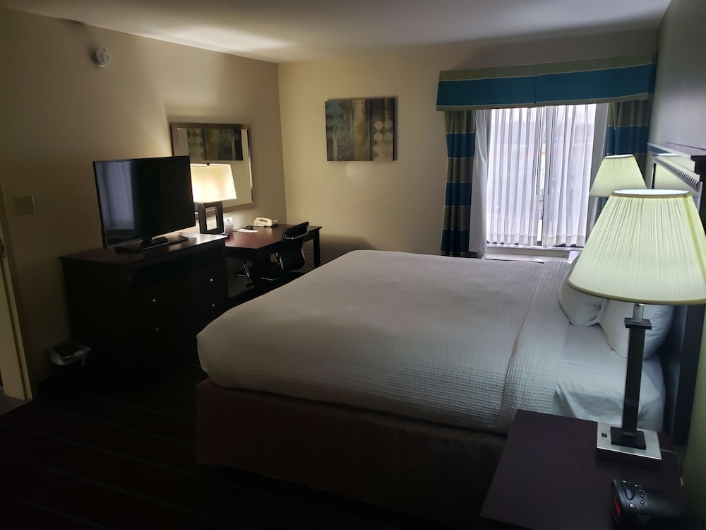 Standard Room, 1 King Bed, Non Smoking, Refrigerator & Microwave - Photo 3