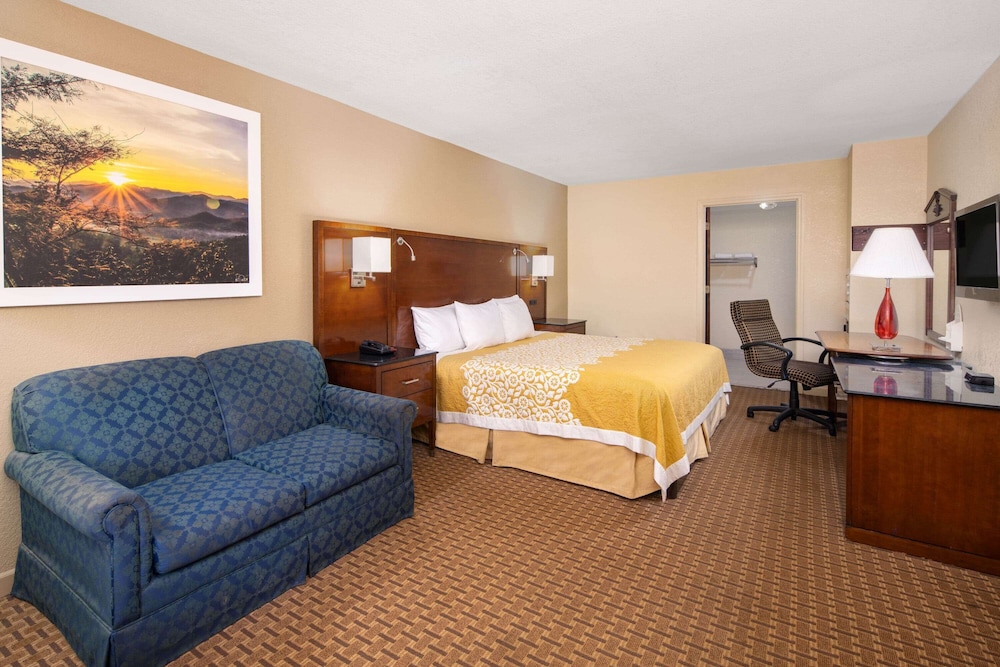 Suite, 1 King Bed, Refrigerator - Photo 3