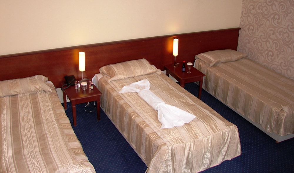 Standard Triple Room, City View photo 3