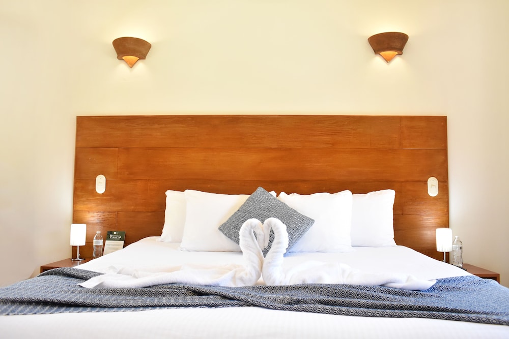 Deluxe Room photo 2