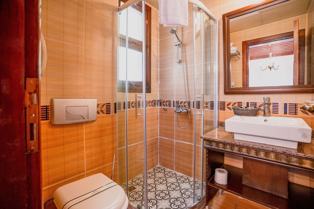 Deluxe Double or Twin Room - Photo 13