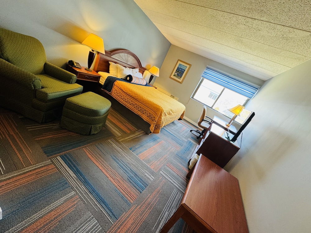 Suite, 1 King Bed with Sofa bed - Photo 1