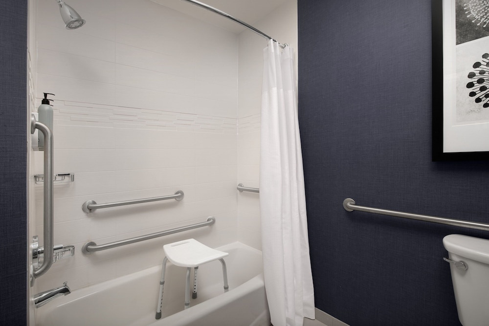 Studio Suite, 1 King Bed with Sofa bed (Mobility Accessible, Tub) photo 3