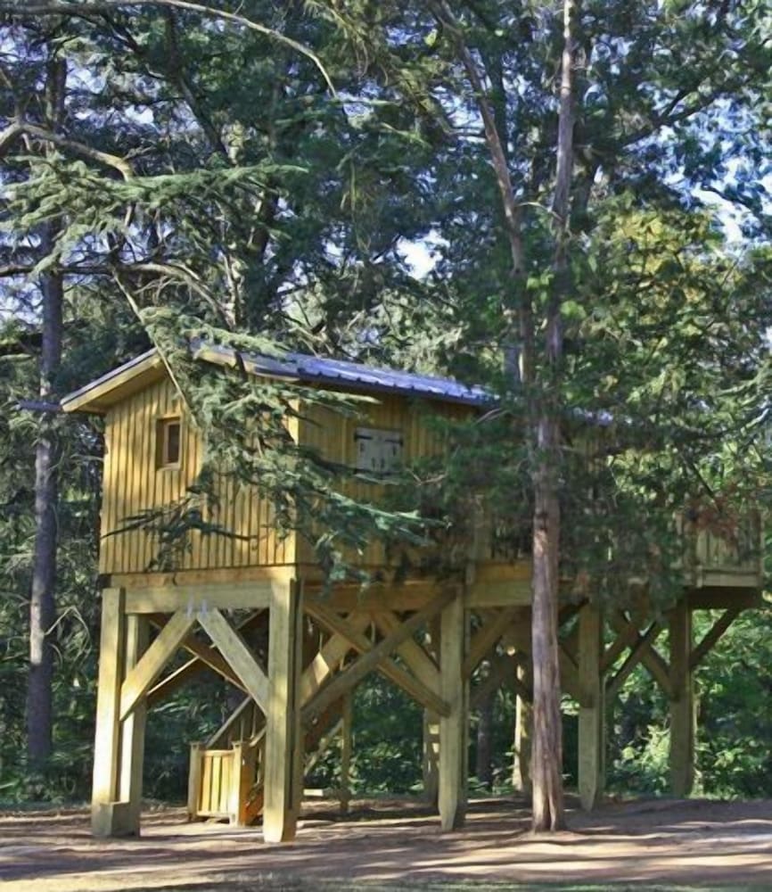 Tree House photo 2