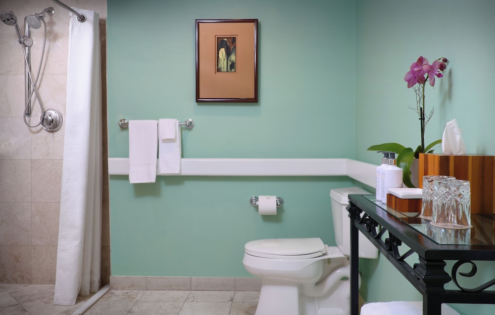 Mobility/hearing Accessible Partial Oceanview Junior Suite