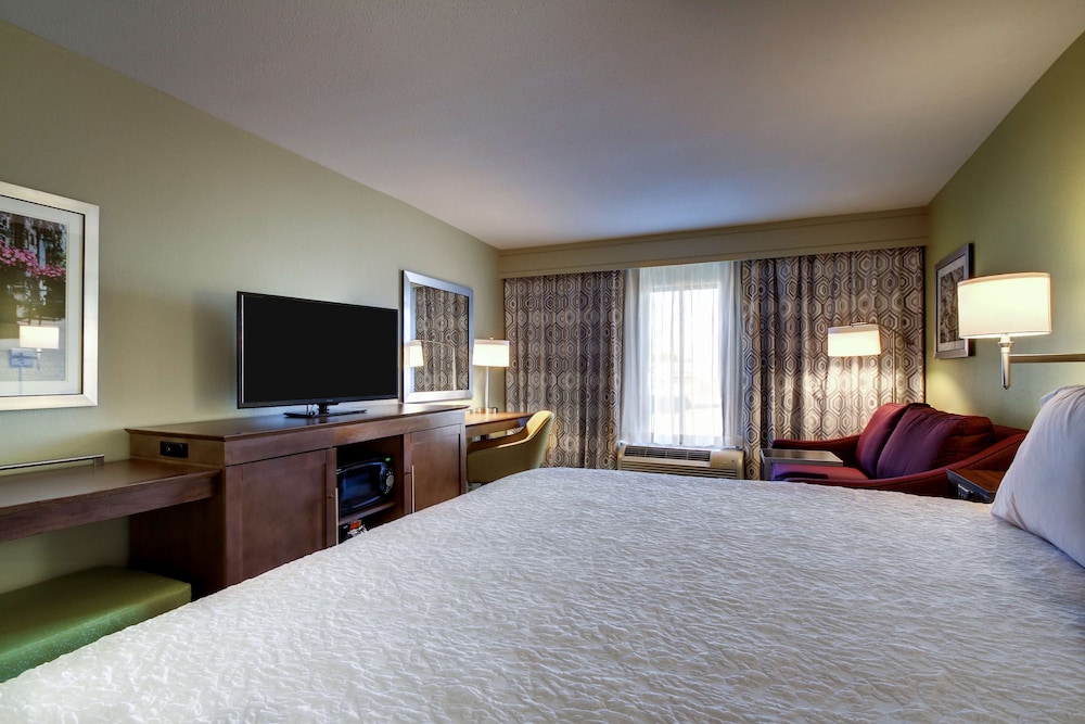 Room, 1 King Bed, Refrigerator & Microwave photo 2