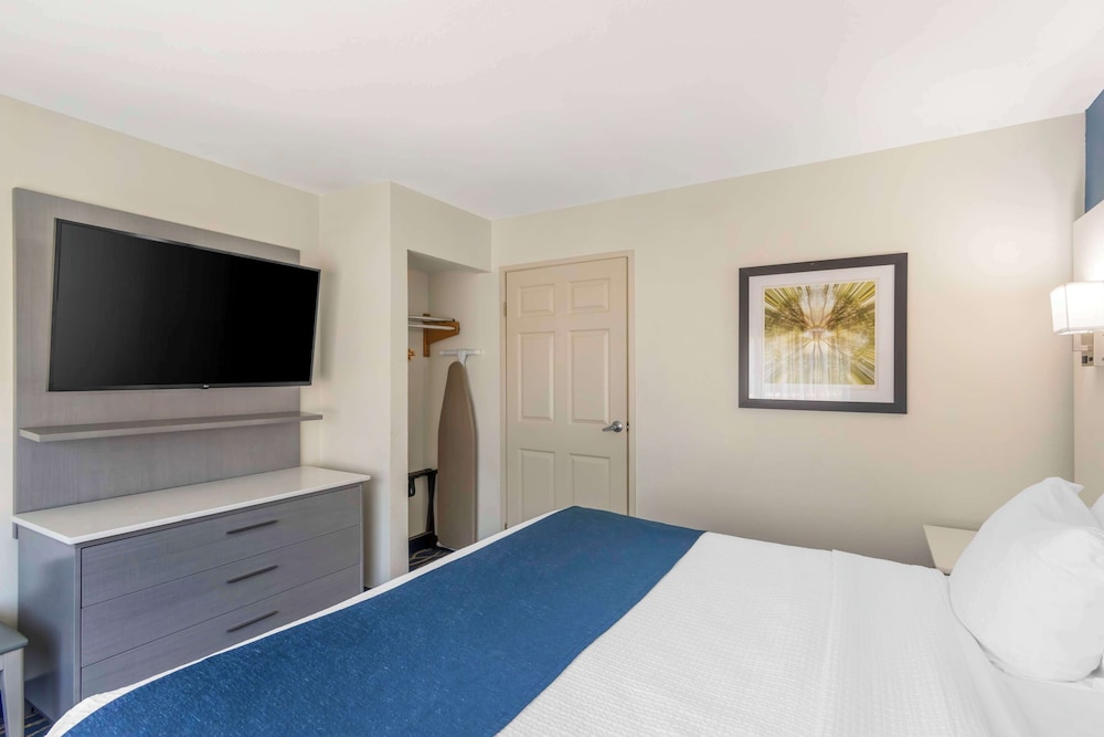 Suite, 1 King Bed, Non Smoking, Refrigerator & Microwave (Pet Friendly) - Photo 3