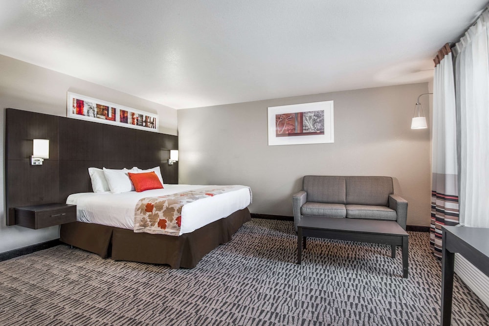 Executive Room, 1 King Bed, Non Smoking - Photo 1