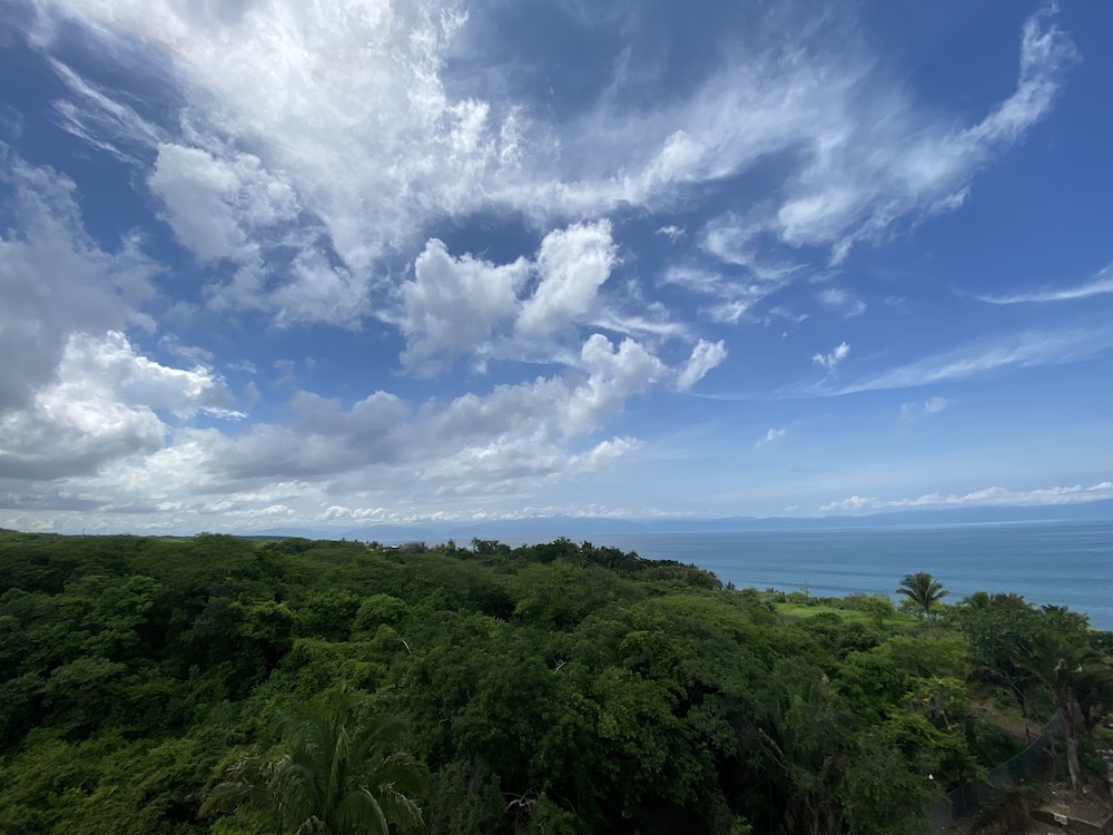 Preferred Club Junior Suite Partial Ocean View King - Photo 4