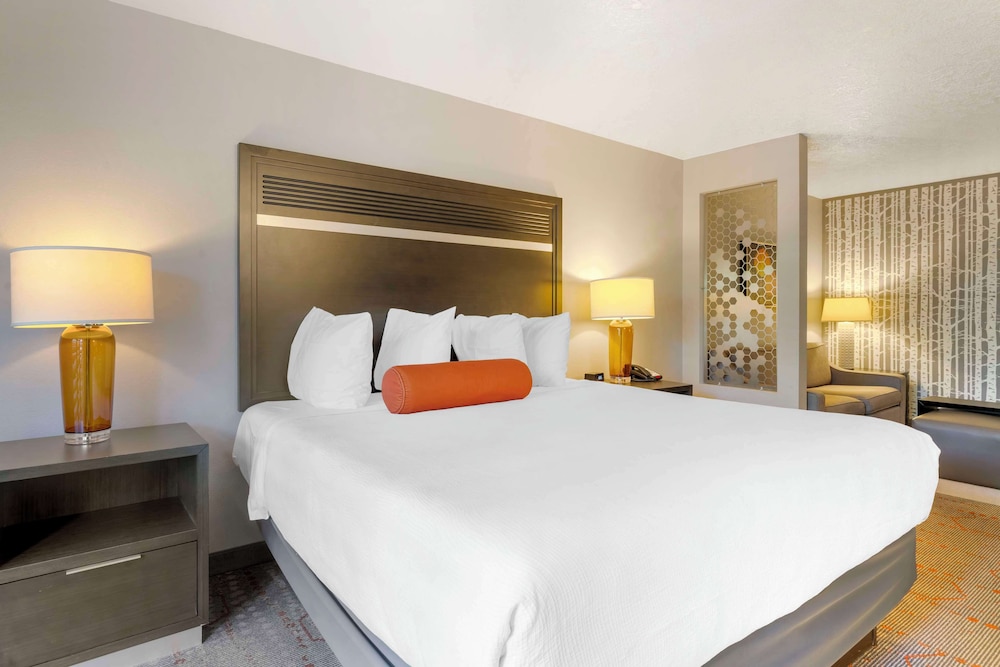 Suite, 1 King Bed, Accessible, Refrigerator & Microwave (with Sofabed) - Photo 2