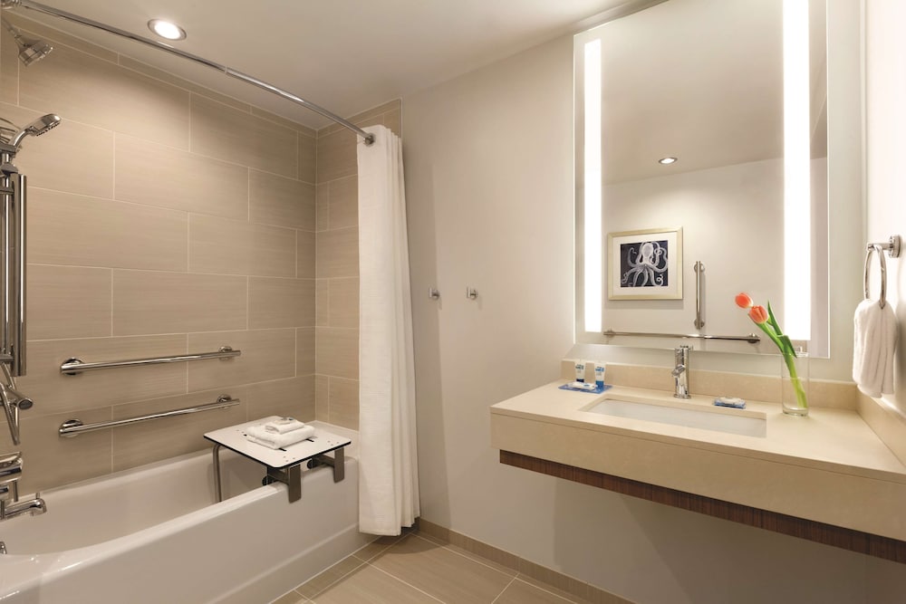 Studio, 1 King Bed with Sofa bed, Accessible, Bathtub (Studio Suite)