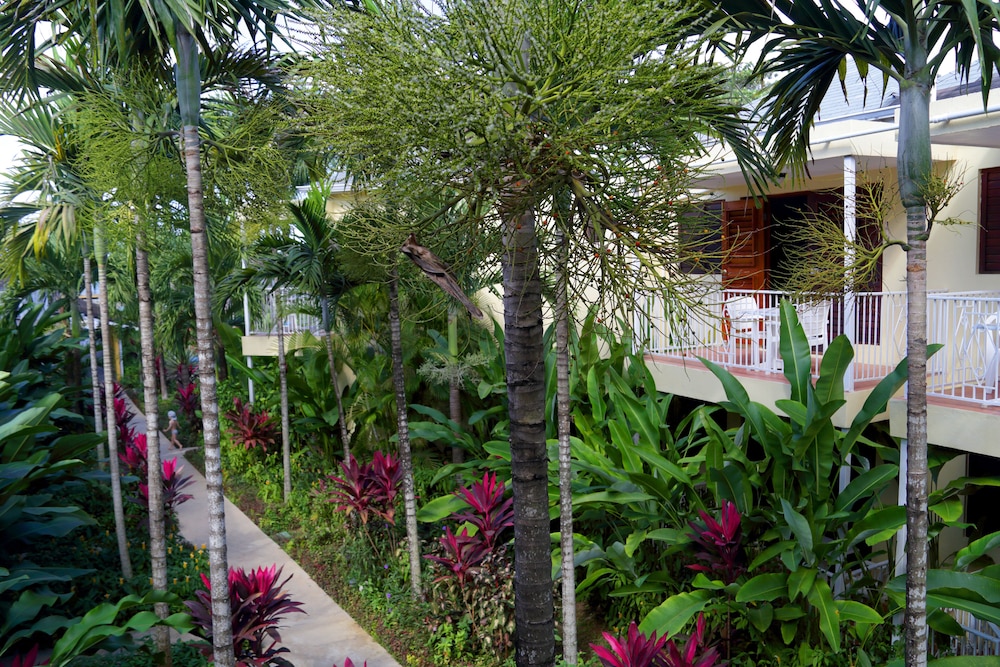 Deluxe Room, Garden View - Photo 3