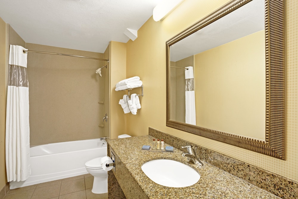 Deluxe Studio Suite, 1 King Bed, Non Smoking - Photo 4