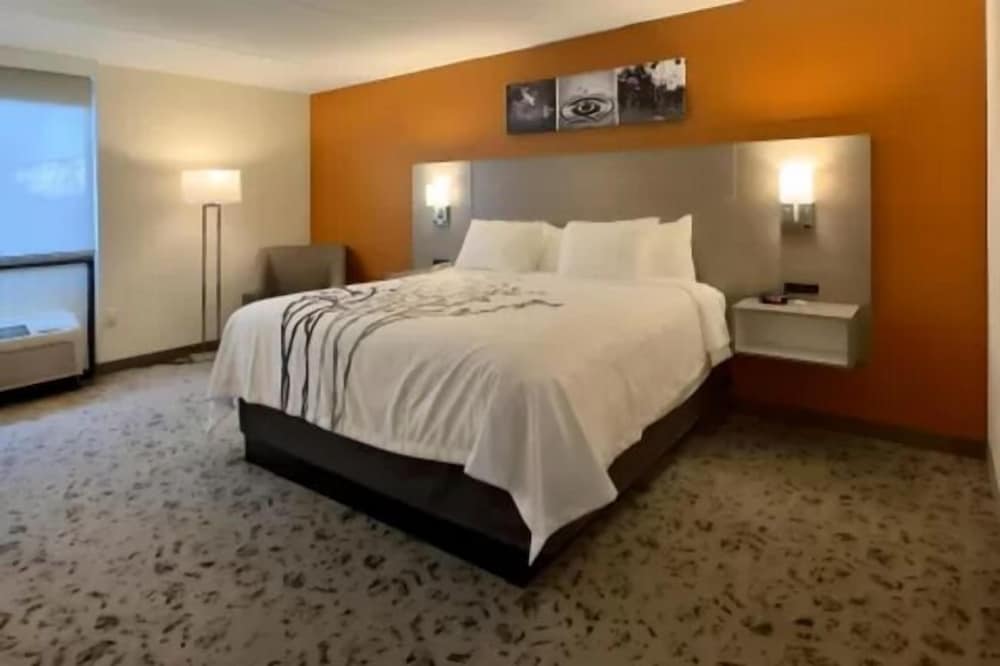 Suite, 1 King Bed, Non Smoking - Photo 1