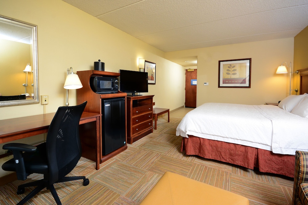 King Study with Sofa Bed - Photo 3
