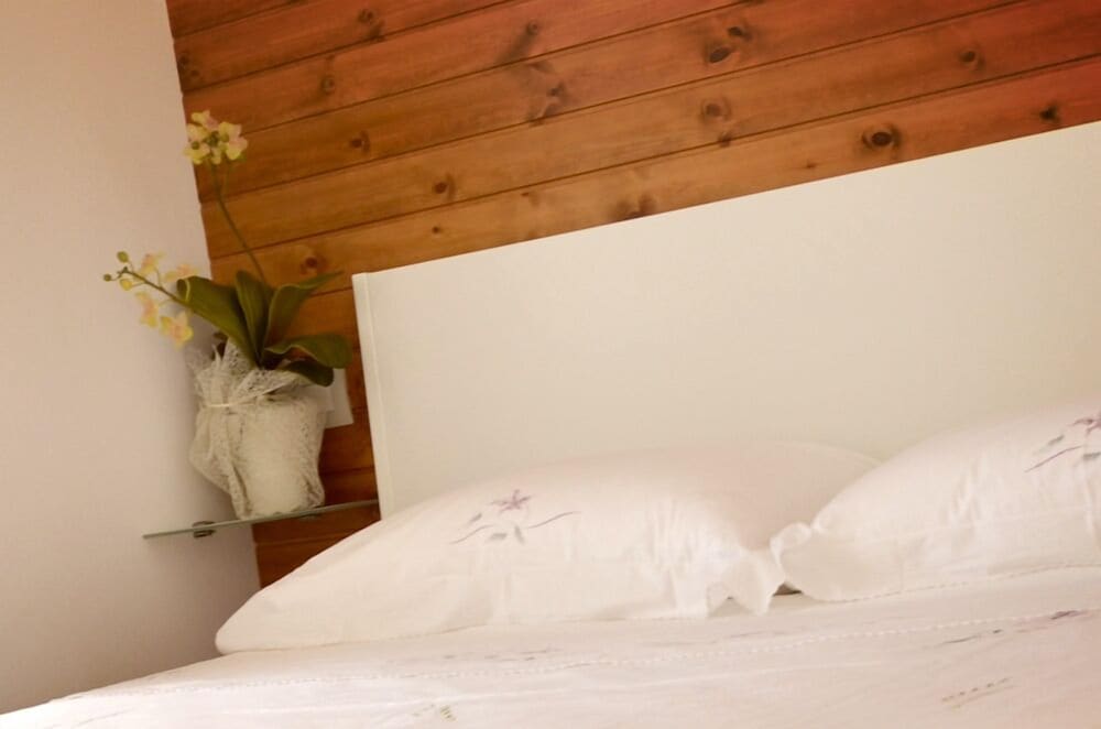 Deluxe Double or Twin Room, 1 Double Bed photo 2