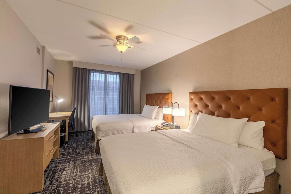 Suite, 1 Bedroom (Large) photo 1