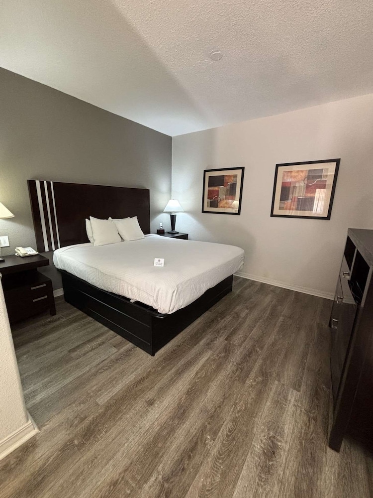 Suite, 1 King Bed, Non Smoking (Mini) photo 1