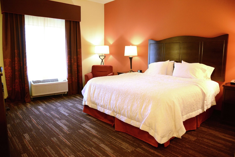 Room, 1 King Bed, Accessible, Bathtub