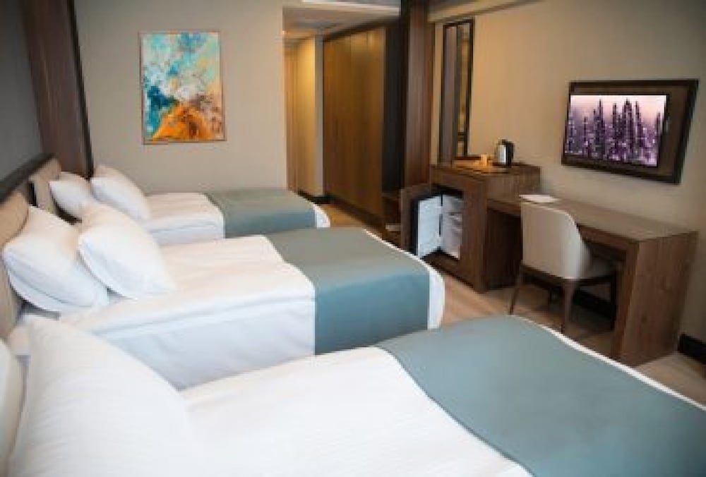 Standard Triple Room photo 2