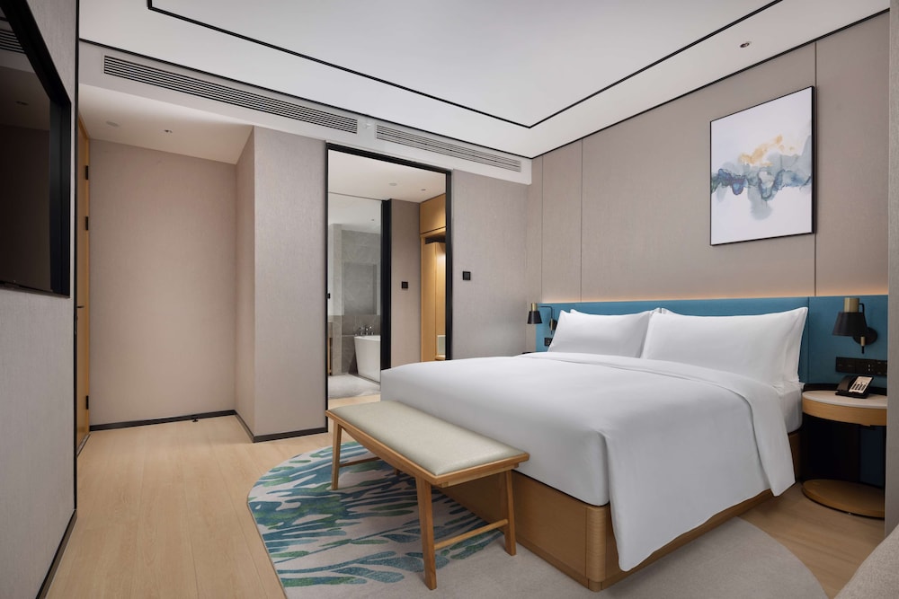 Deluxe Suite, 1 King Bed photo 1