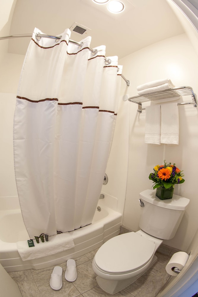 Business Room, 1 Queen Bed - Photo 4