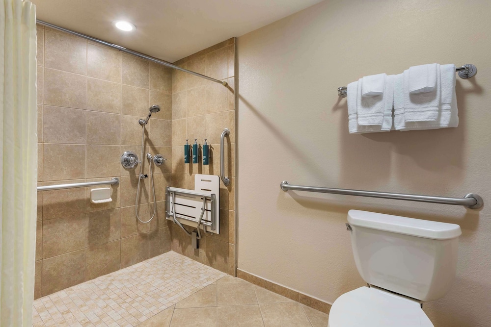 1 BEDROOM 1 KING SUITE WITH ROLL IN SHOWER - Photo 7