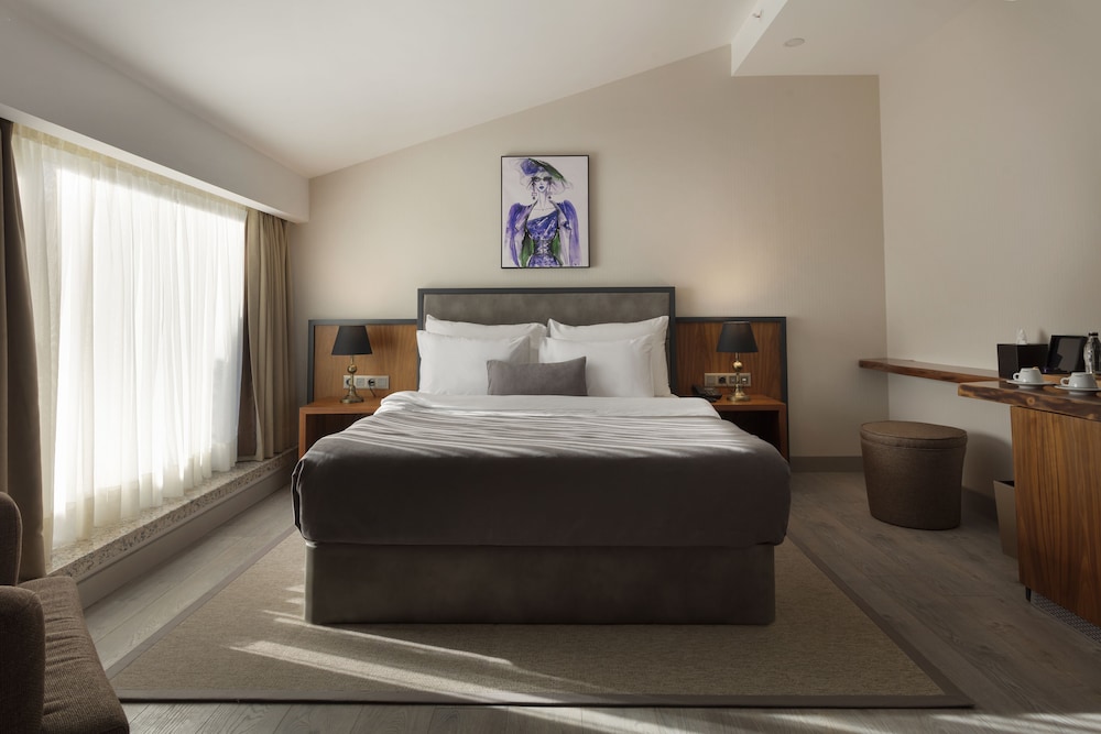 Deluxe Room, Terrace photo 1