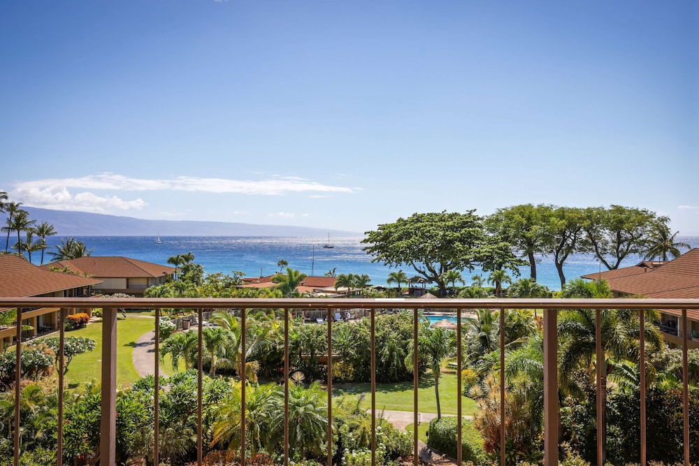 Premium Suite (1 Bedroom Ocean View) - Photo 15