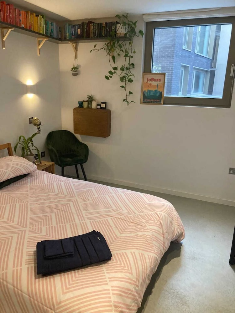 Basic Apartment, 1 King Bed