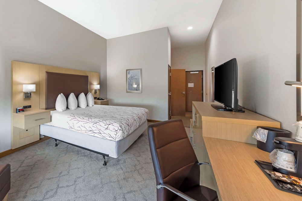 Standard Room, 1 King Bed, Accessible, Refrigerator & Microwave - Photo 3