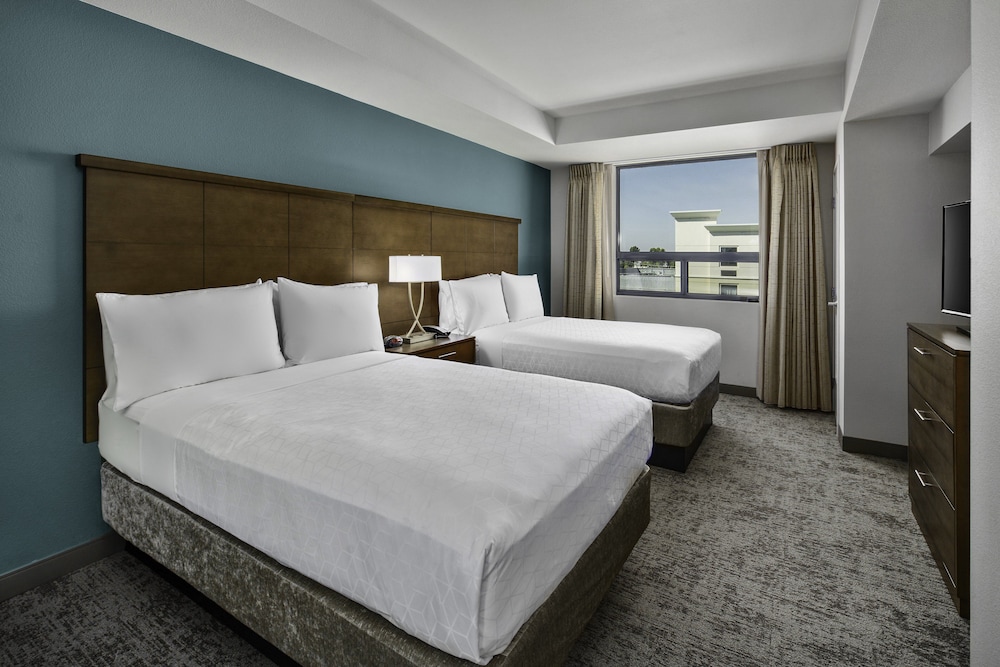 Suite, 2 Double Beds, Kitchen - Photo 8