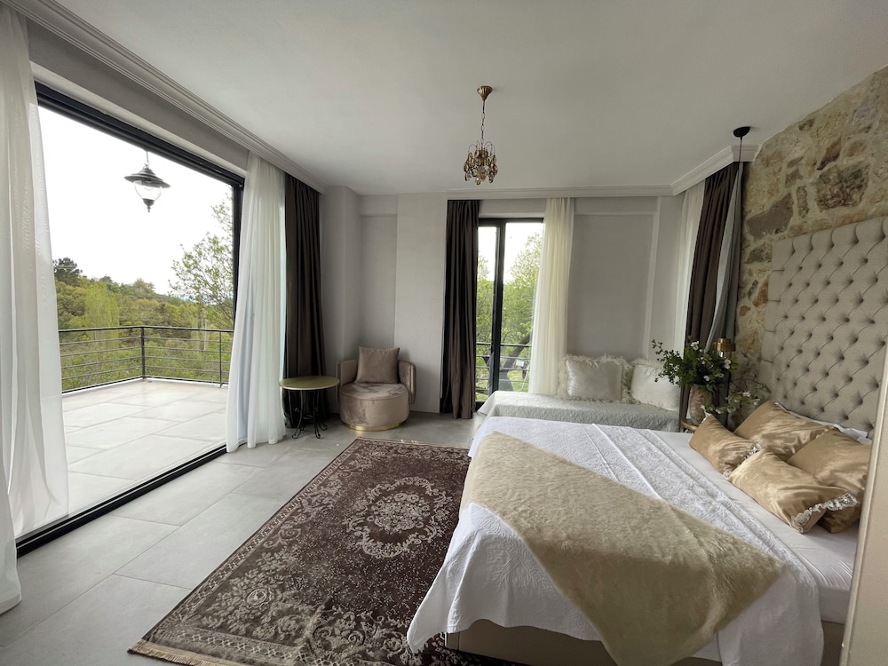 Classic Double Room, Mountain View photo 1