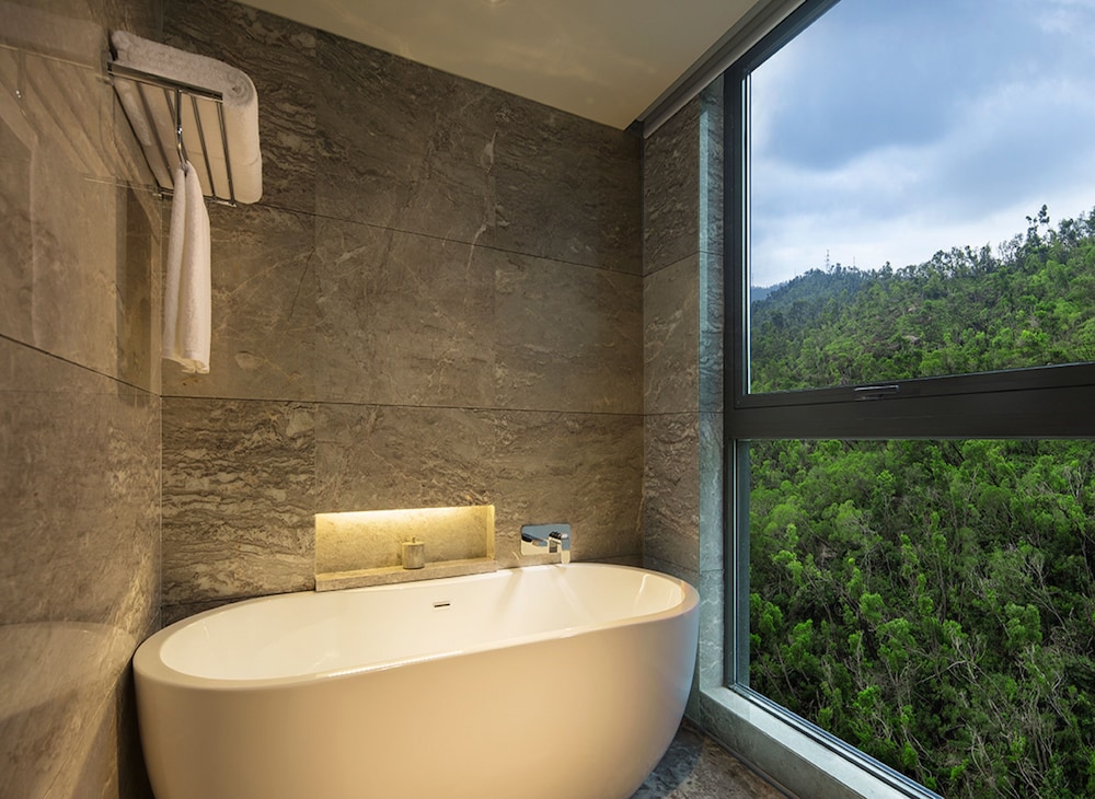 Deluxe Mountain View Room with King Size Bed photo 2