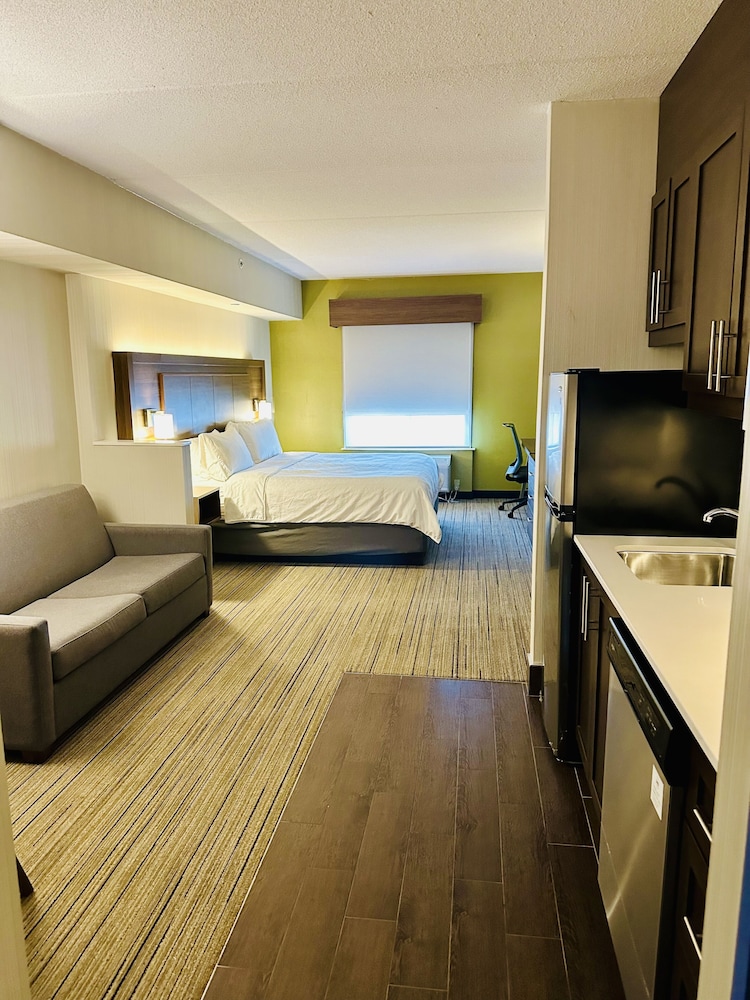 Suite, 1 King Bed with Sofa bed photo 3