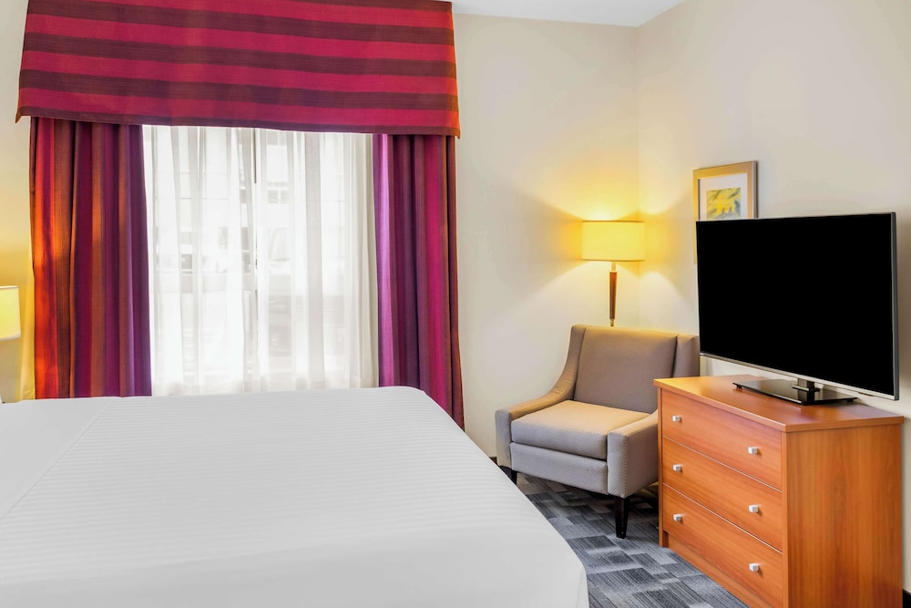 Suite, 1 King Bed, Non Smoking photo 3