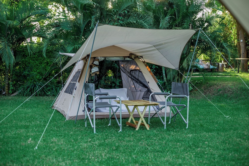 Basic Tent