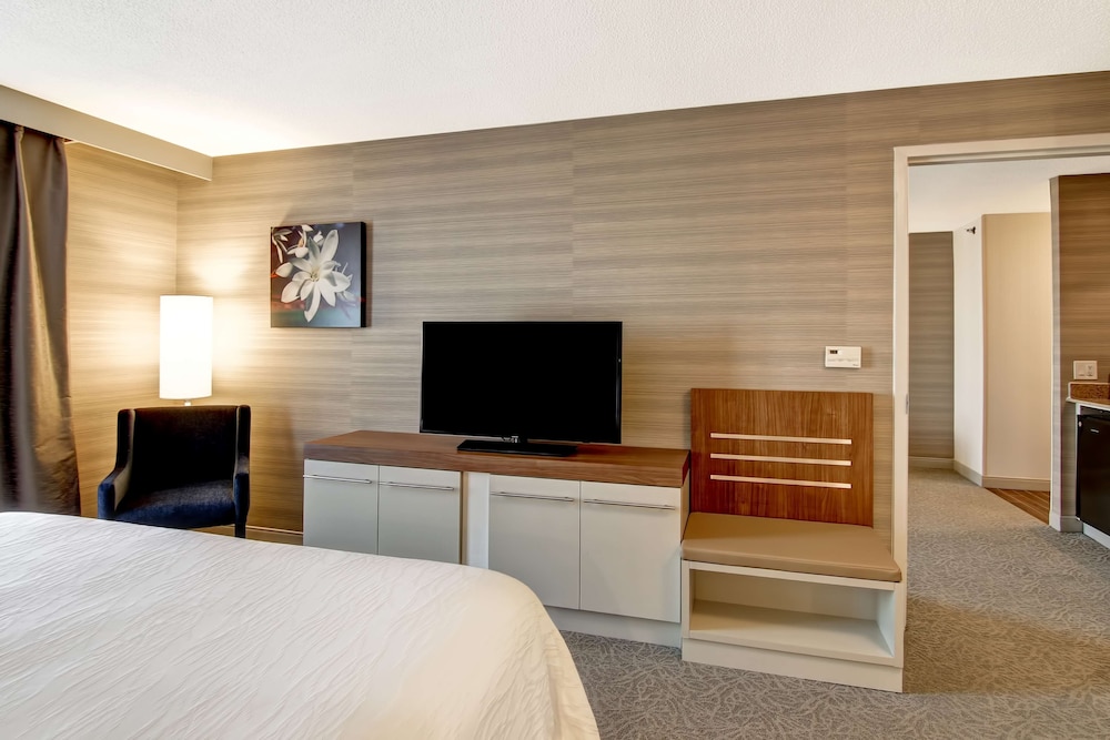 Suite, 1 King Bed