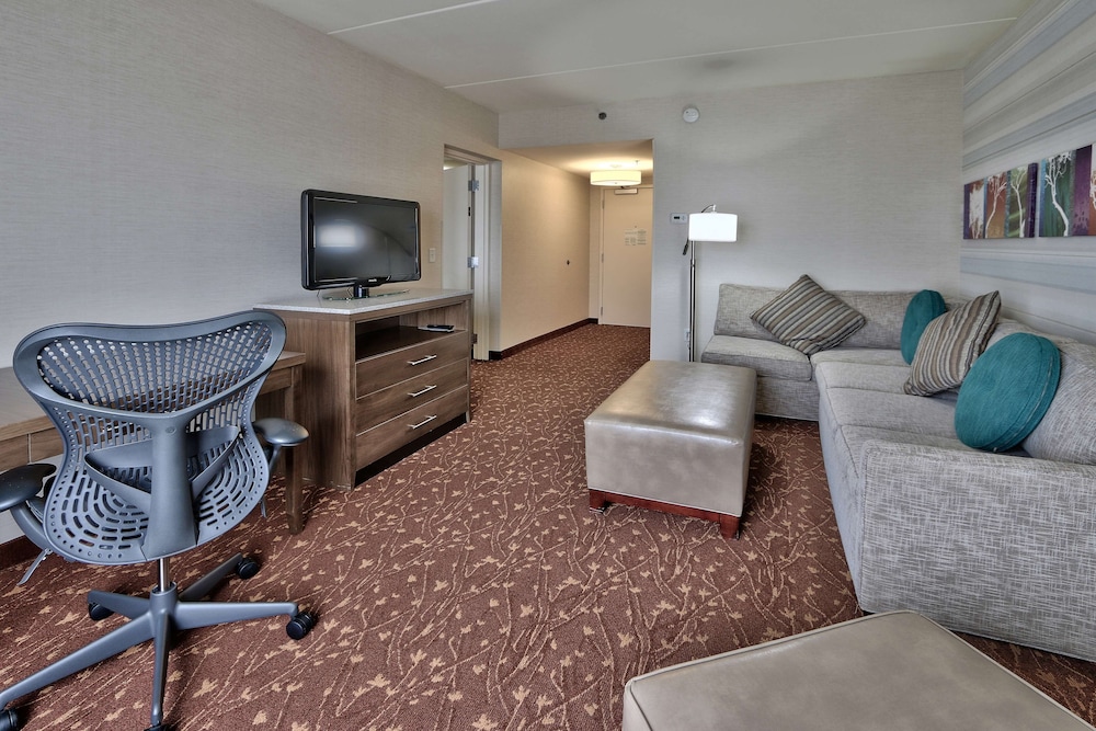 Suite, 1 King Bed photo 1