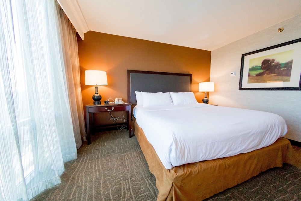 Suite, 1 Bedroom (1 King Bed With Sofa Bed)