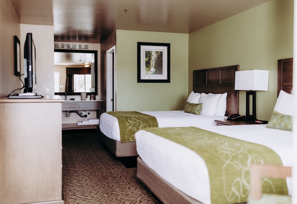 Room, 2 Queen Beds