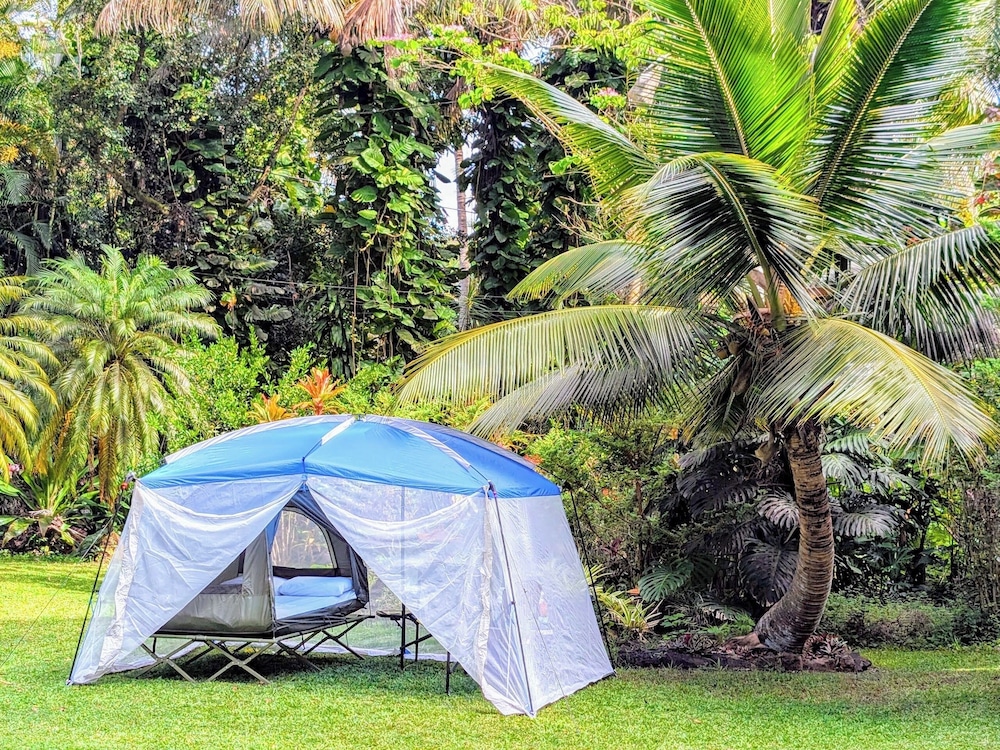Tent, Garden View