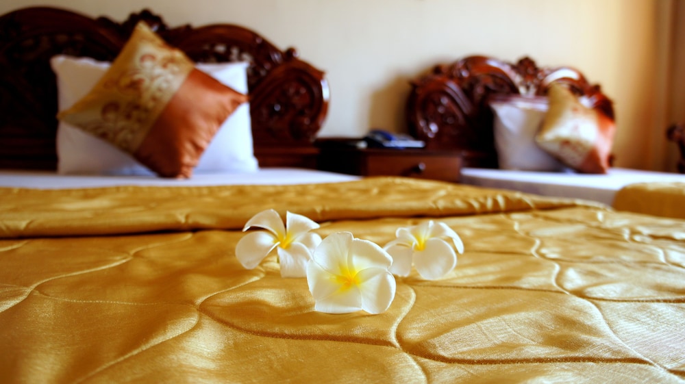 Deluxe Double or Twin Room (with FAN) photo 2