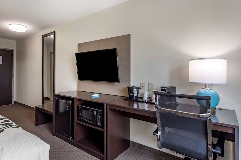 Standard Room, 1 King Bed, Non Smoking - Photo 3